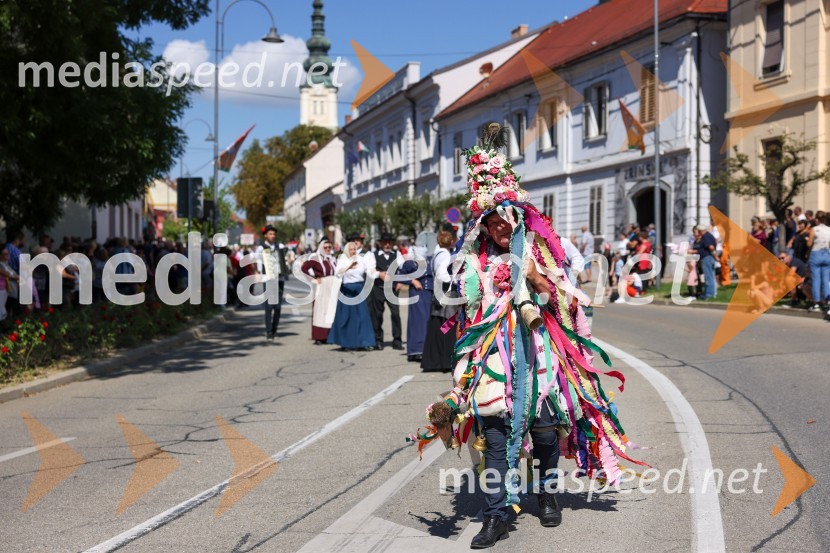 43. Lendavska trgatev, Festival Vinarium 2022