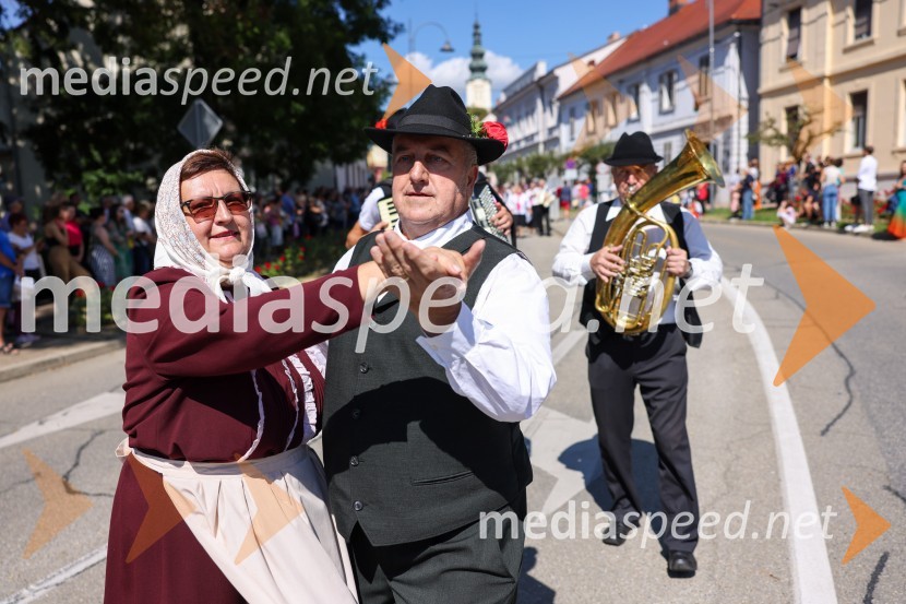 43. Lendavska trgatev, Festival Vinarium 2022