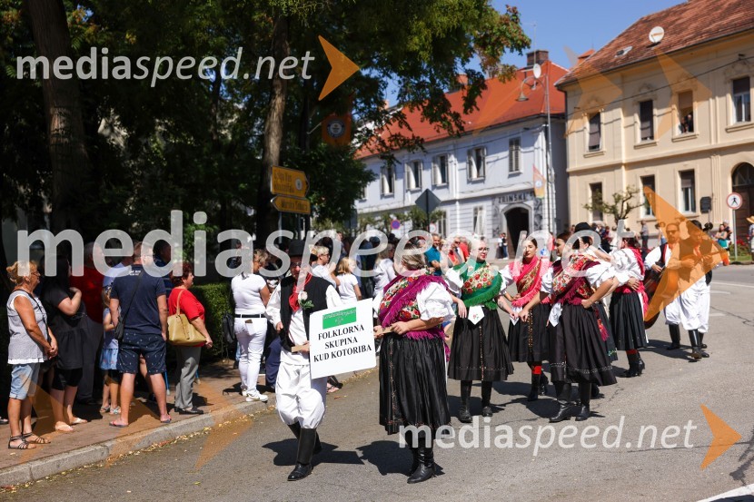 43. Lendavska trgatev, Festival Vinarium 2022