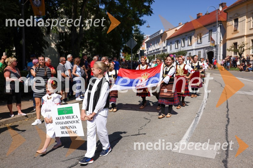 43. Lendavska trgatev, Festival Vinarium 2022