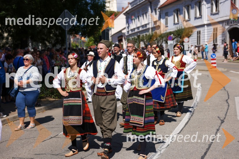 43. Lendavska trgatev, Festival Vinarium 2022