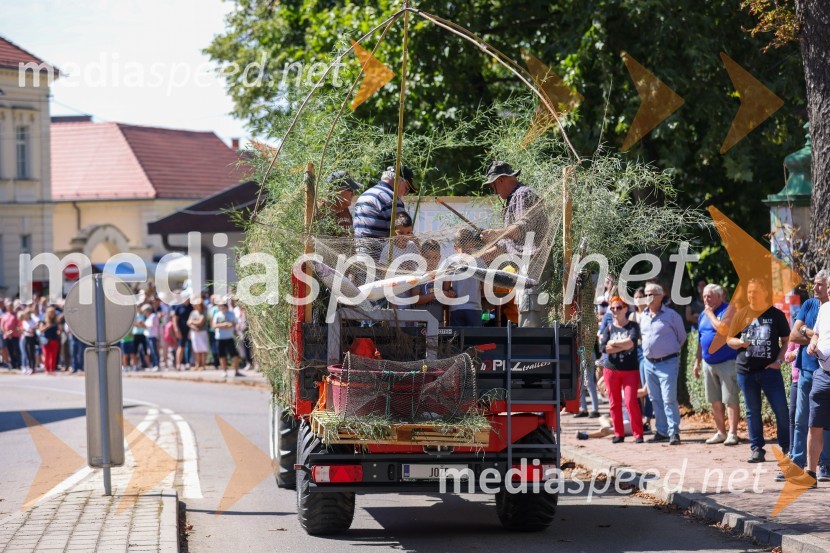 43. Lendavska trgatev, Festival Vinarium 2022