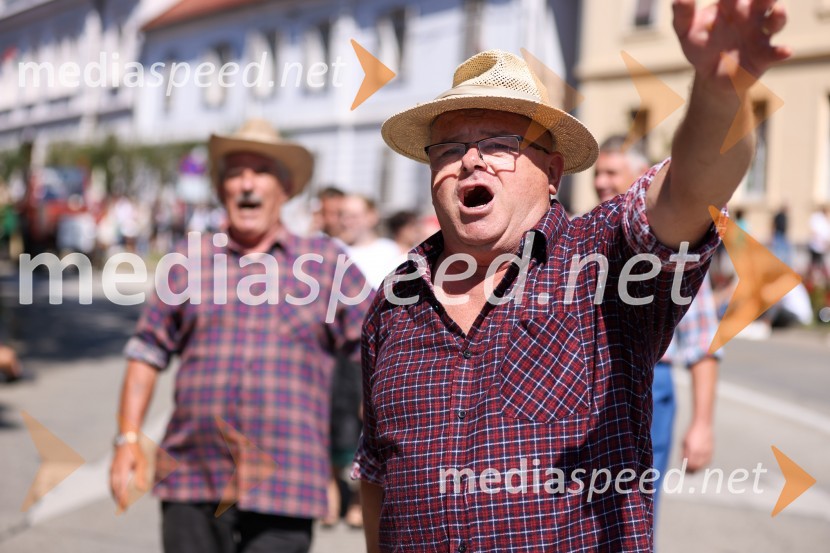 43. Lendavska trgatev, Festival Vinarium 2022