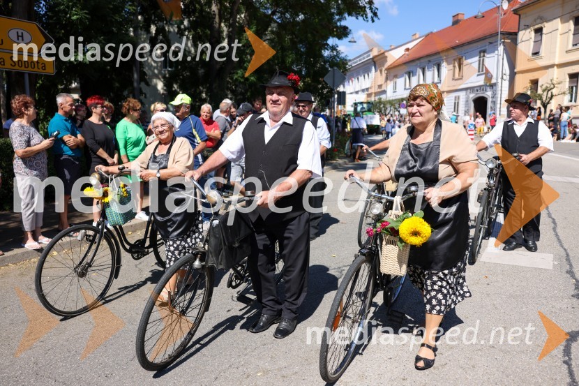 43. Lendavska trgatev, Festival Vinarium 2022