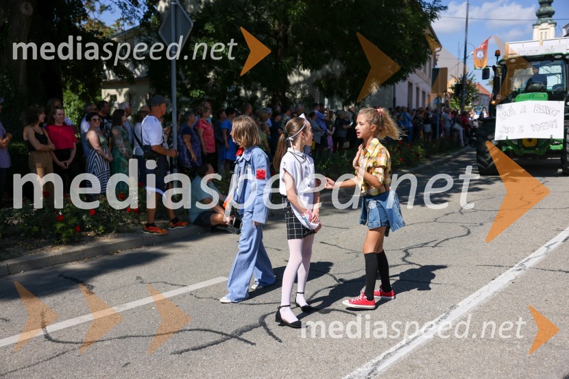 43. Lendavska trgatev, Festival Vinarium 2022