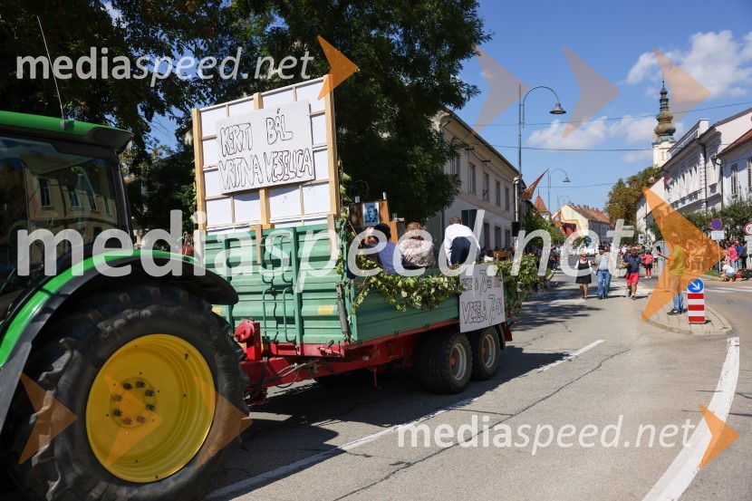 43. Lendavska trgatev, Festival Vinarium 2022