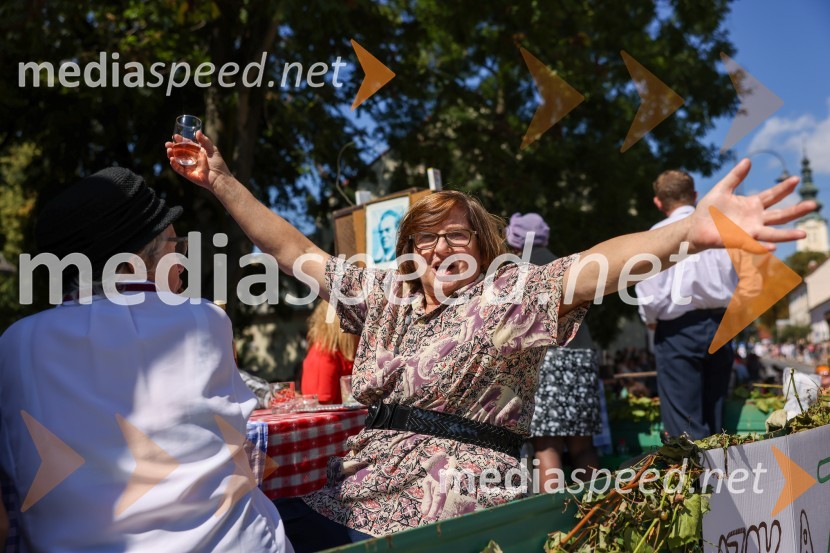 43. Lendavska trgatev, Festival Vinarium 2022