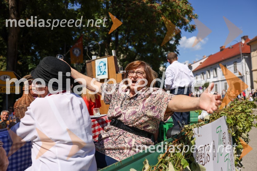 43. Lendavska trgatev, Festival Vinarium 2022