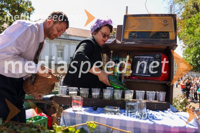 43. Lendavska trgatev, Festival Vinarium 2022