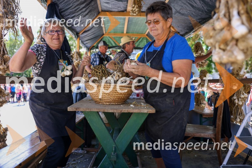 43. Lendavska trgatev, Festival Vinarium 2022