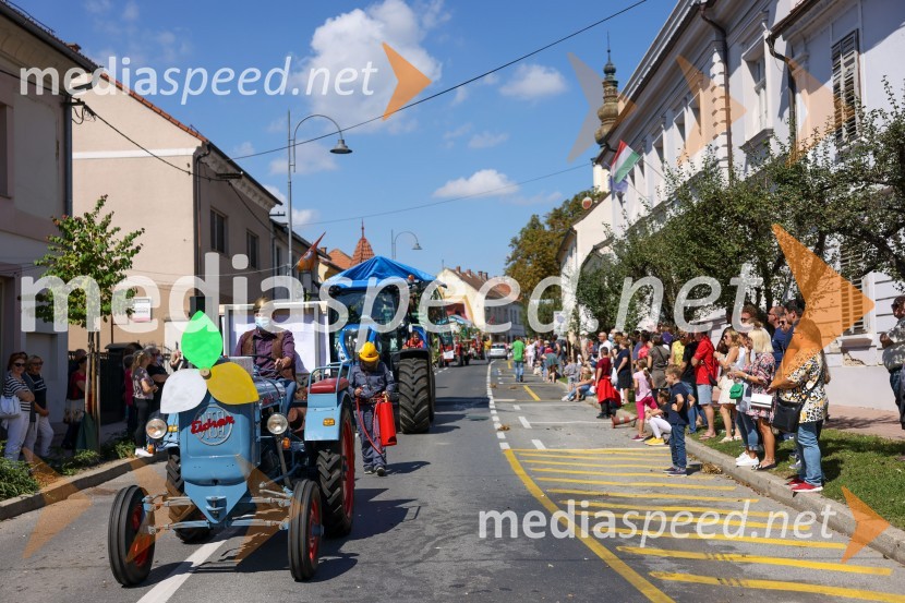 43. Lendavska trgatev, Festival Vinarium 2022