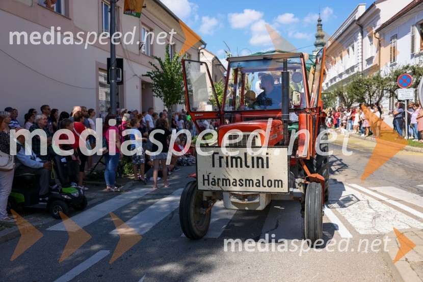 43. Lendavska trgatev, Festival Vinarium 2022