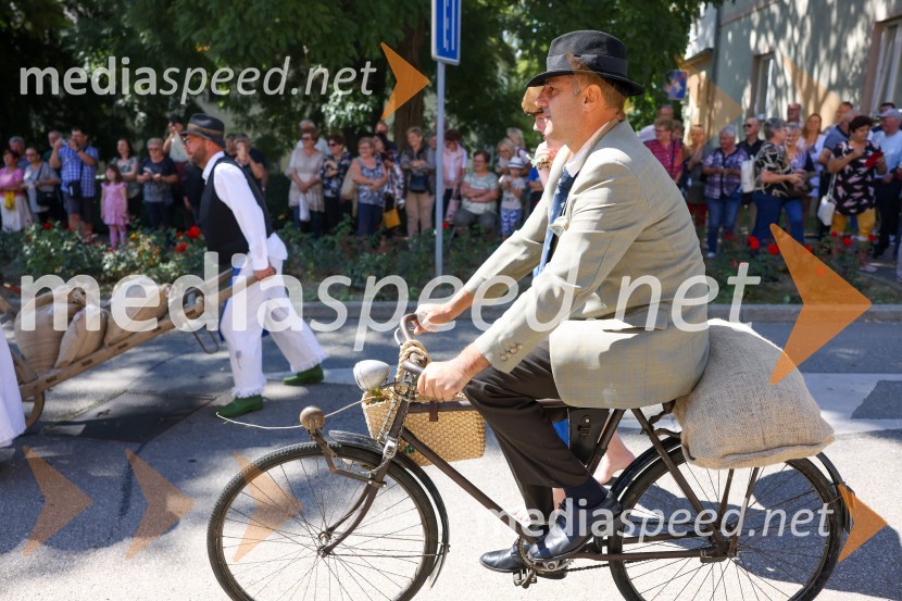 43. Lendavska trgatev, Festival Vinarium 2022