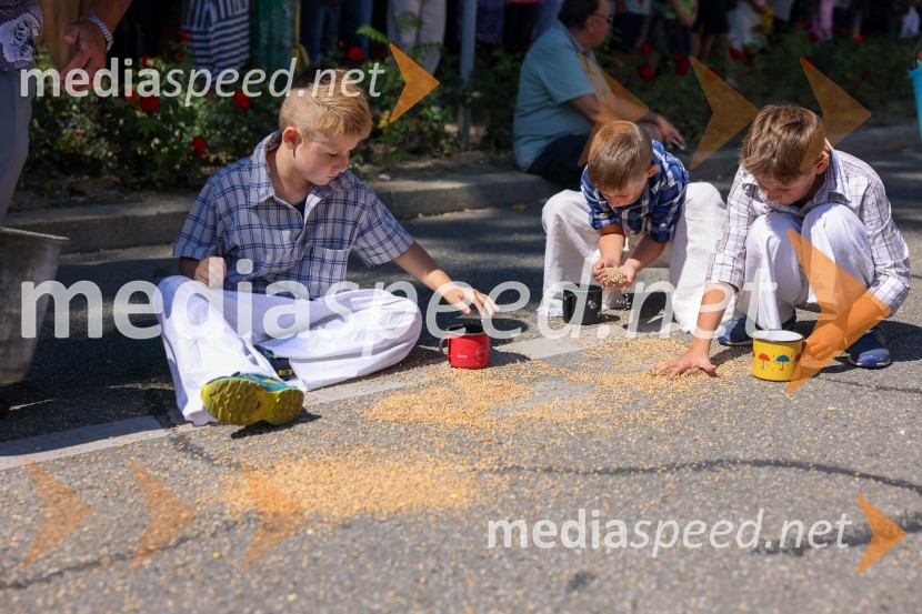 43. Lendavska trgatev, Festival Vinarium 2022