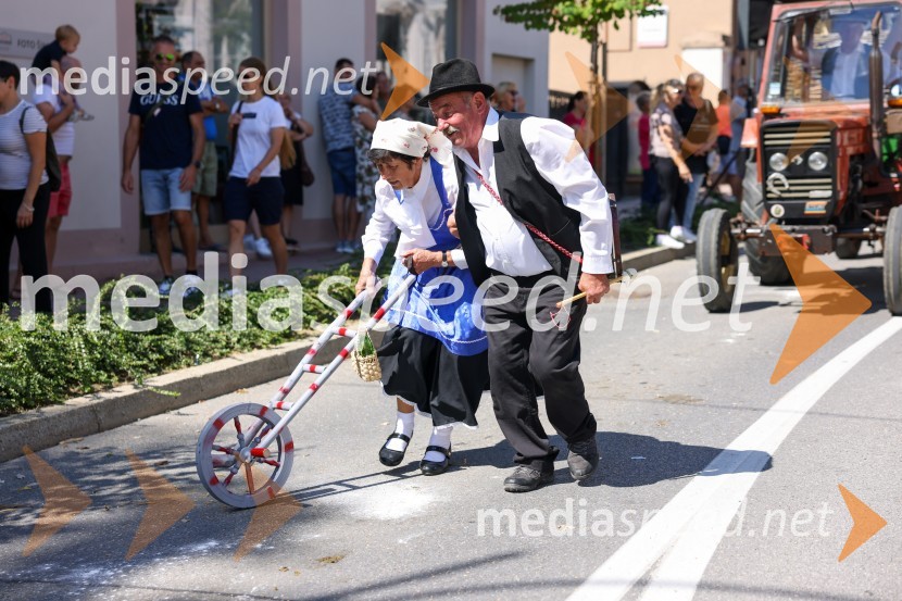 43. Lendavska trgatev, Festival Vinarium 2022