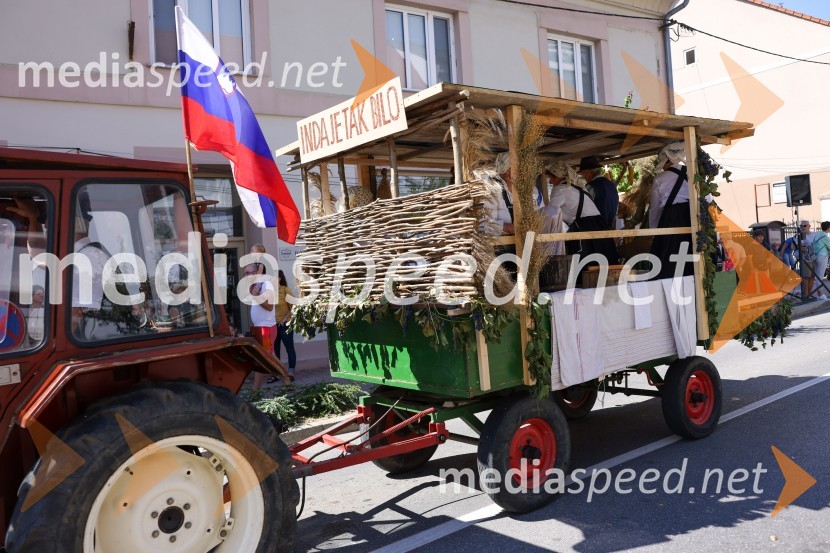 43. Lendavska trgatev, Festival Vinarium 2022