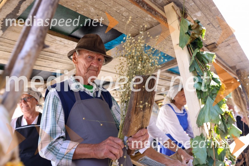 43. Lendavska trgatev, Festival Vinarium 2022