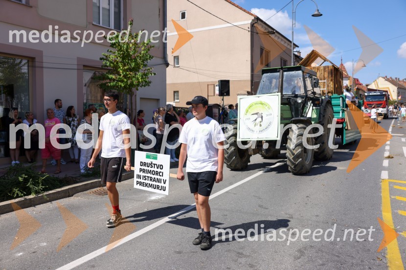 43. Lendavska trgatev, Festival Vinarium 2022