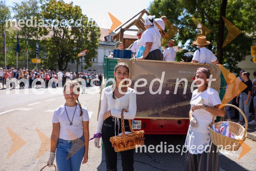 43. Lendavska trgatev, Festival Vinarium 2022