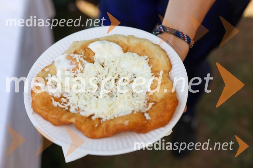 43. Lendavska trgatev, Festival Vinarium 2022