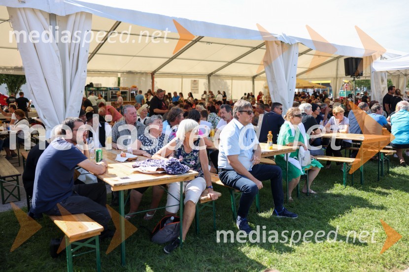 43. Lendavska trgatev, Festival Vinarium 2022