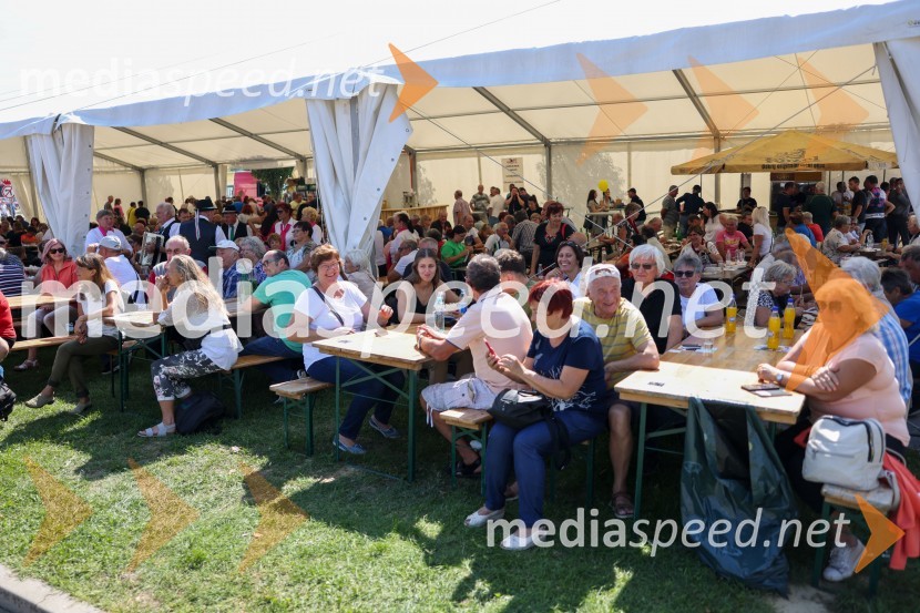 43. Lendavska trgatev, Festival Vinarium 2022