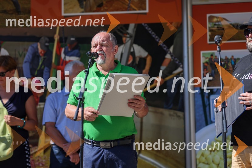 43. Lendavska trgatev, Festival Vinarium 2022