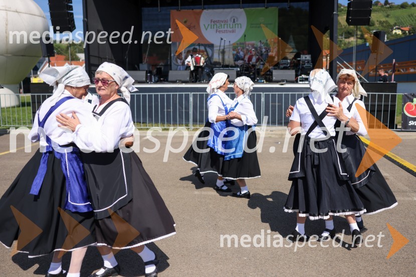 43. Lendavska trgatev, Festival Vinarium 2022