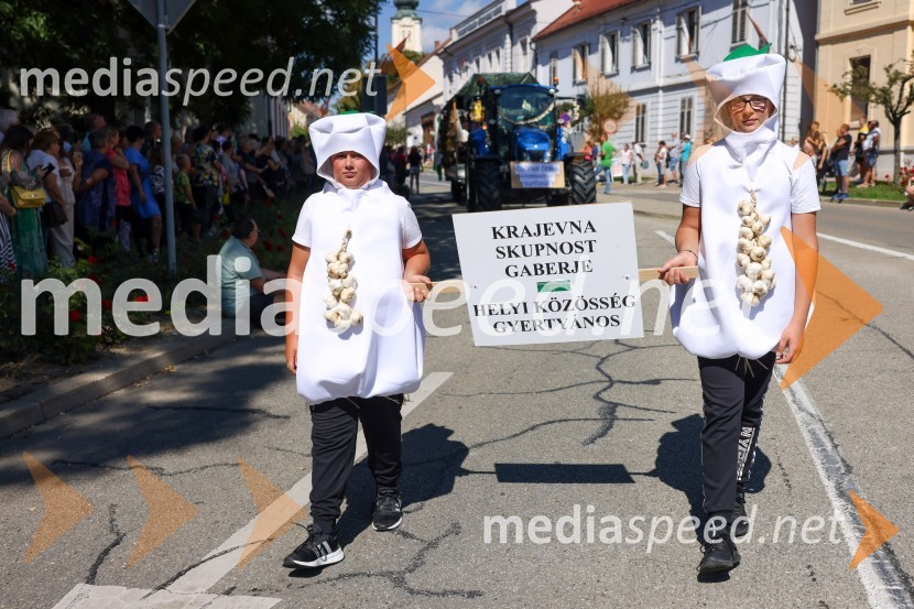 43. Lendavska trgatev, Festival Vinarium 2022