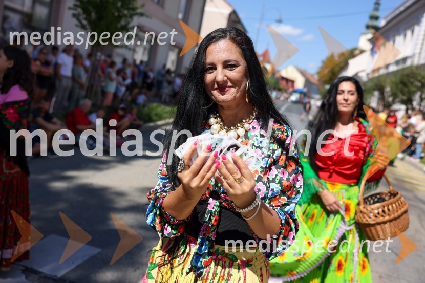 43. Lendavska trgatev, Festival Vinarium 2022