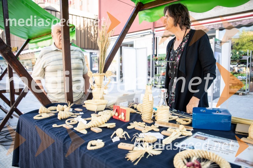 12. Festival prekmurske šunke in prekmurske gibanice 2022