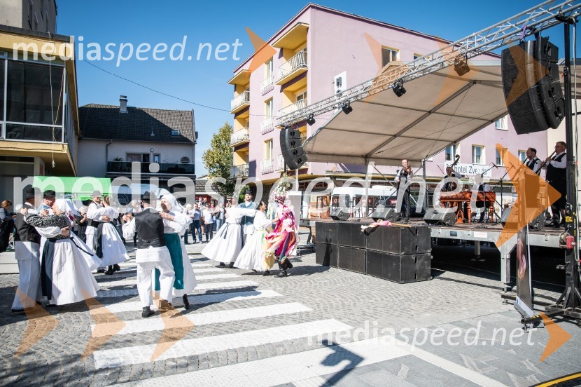 12. Festival prekmurske šunke in prekmurske gibanice 2022