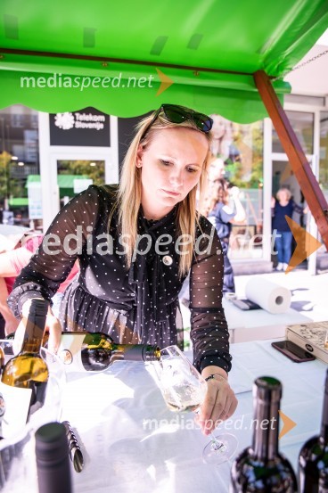 12. Festival prekmurske šunke in prekmurske gibanice 2022