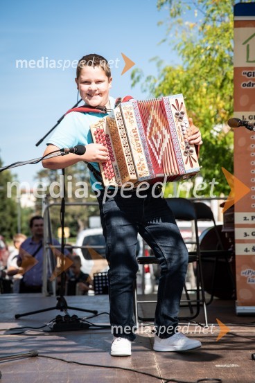 12. Festival prekmurske šunke in prekmurske gibanice 2022