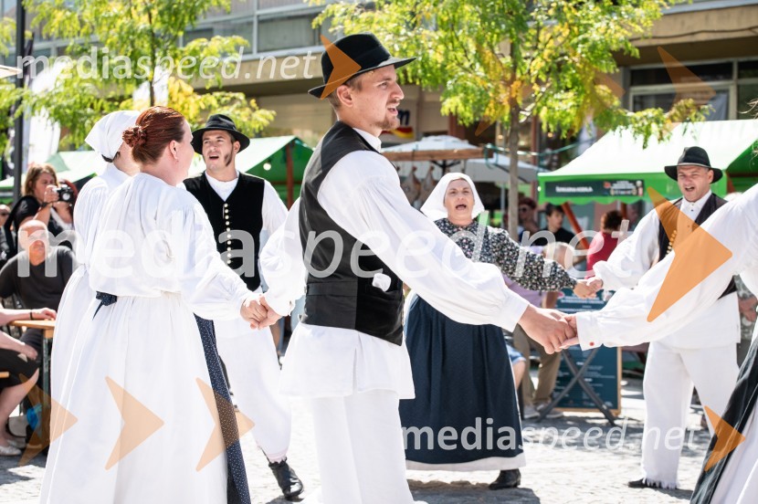 12. Festival prekmurske šunke in prekmurske gibanice 2022