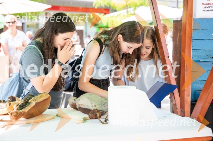 12. Festival prekmurske šunke in prekmurske gibanice 2022