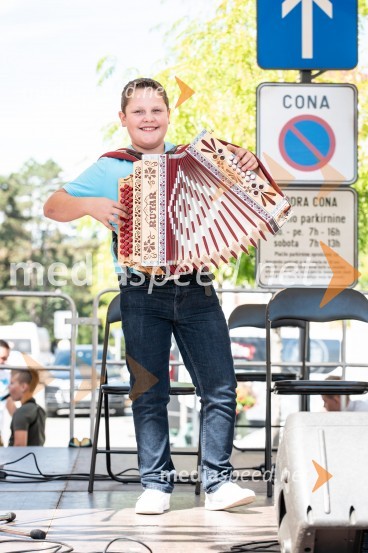 12. Festival prekmurske šunke in prekmurske gibanice 2022