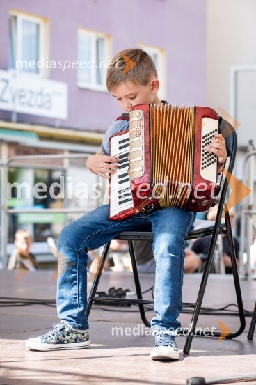 12. Festival prekmurske šunke in prekmurske gibanice 2022