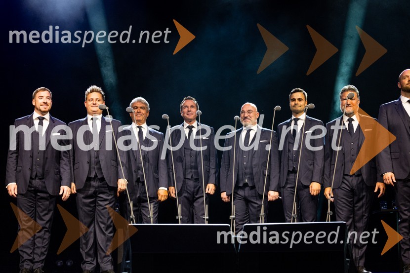  Darko Vidic, bariton, Slovenski oktet;  Andrej Oder, 1. tenor, Slovenski oktet;   Matej  Voje, bas, Slovenski oktet;  Janez Triler, 2. tenor, Slovenski oktet;  Jože Vidic, operni pevec, bariton, Slovenski oktet;  Rok Ferenčak, 1. tenor, Slovenski oktet;  Janko  Volčanšek, bas, Slovenski oktet;  David Jagodic, tenorist, Slovenski oktetJubilejni gala koncert Slovenskega okteta, Festival Ljubljana 2022