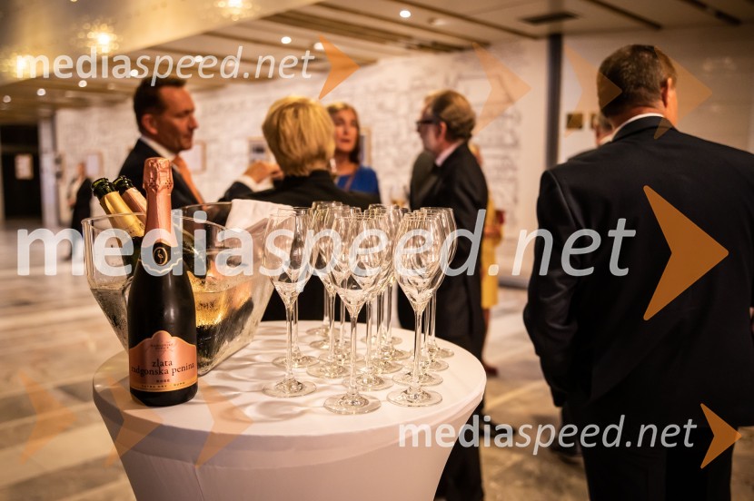 Praznovanje 30-letnice vzpostavitve slovensko-romunskih diplomatskih odnosov