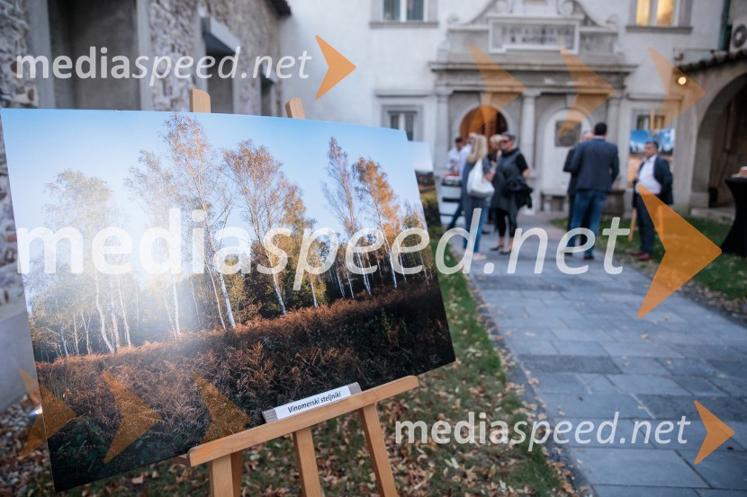 V objemu Lahinje, tamburaška opera