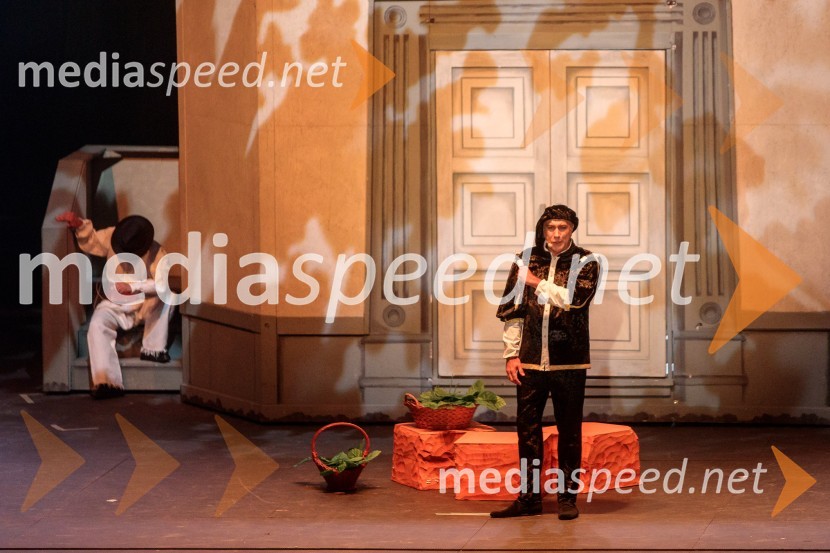  Domingo Stasi, operni pevecV objemu Lahinje, tamburaška opera