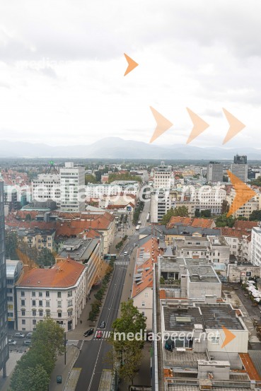 Popolna legalizacija konoplje je največja gospodarska priložnost za Slovenijo, tiskovna konferenca