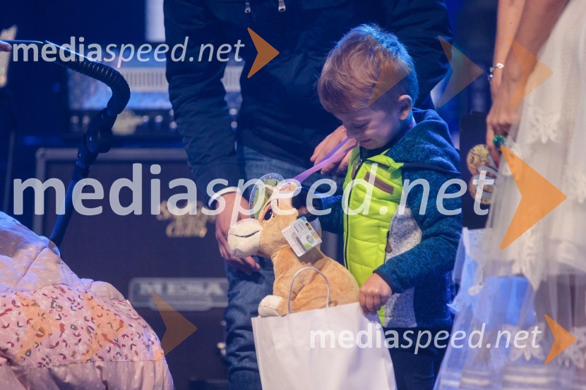 Veliki dobrodelni koncert Vilijem Julijan 2022