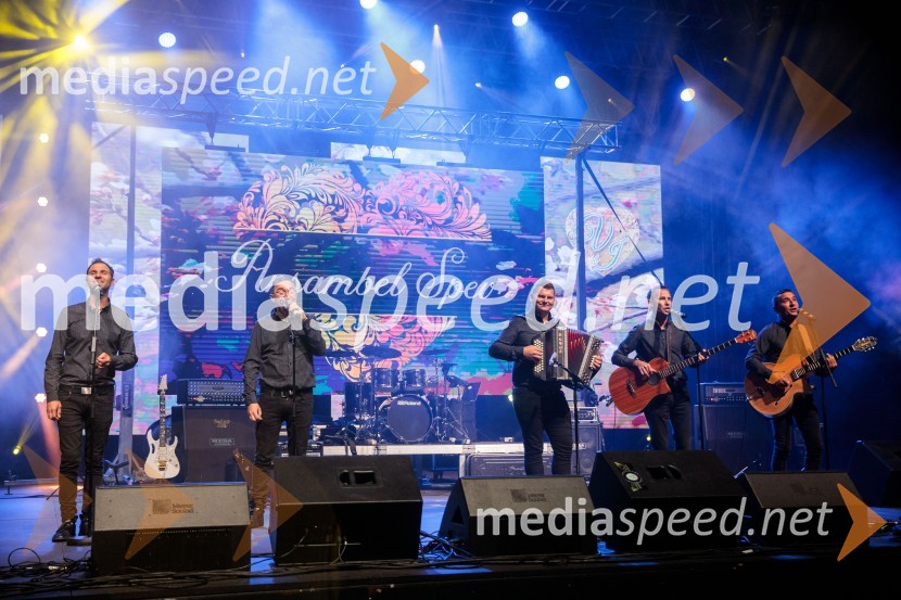  Marko Berzelak, Ansambel Spev;  Edo Rednak, Ansambel Spev;  Vili Mravljak, Ansambel Spev;  Kristijan Kolenc, Ansambel Spev;  Boštjan Mežnar, Ansambel SpevVeliki dobrodelni koncert Vilijem Julijan 2022