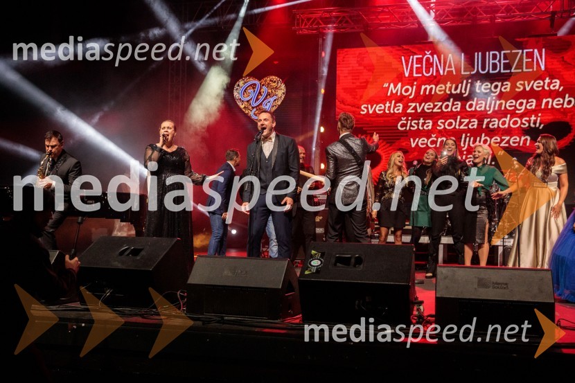 Veliki dobrodelni koncert Vilijem Julijan 2022