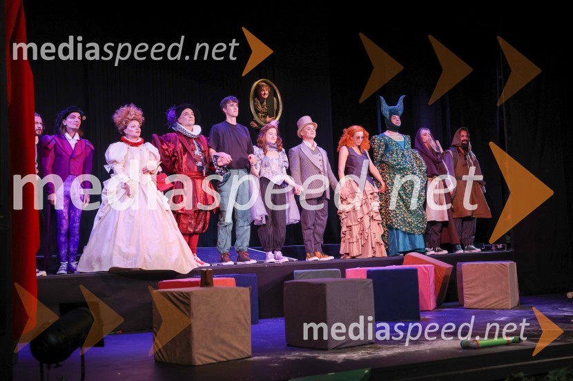  David Čeh, igralec;  Jagoda Tovirac, igralka;  Rastko Krošl, igralec;  Urban Kuntarič, igralec;  Eva Stražar, igralka;  Damjan M. Trbovc, igralec;  Barbara Medvešček, igralka;  Tarek Rashid, igralec;  Manca  Ogorevc, igralka;  Tanja Potočnik, igralkaRobin Hood, premiera mladinske predstave v SLG Celje