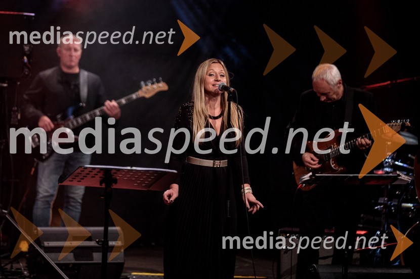 70 let - NIČ proti VEČnosti, koncert Andreja Šifrerja v Kranju