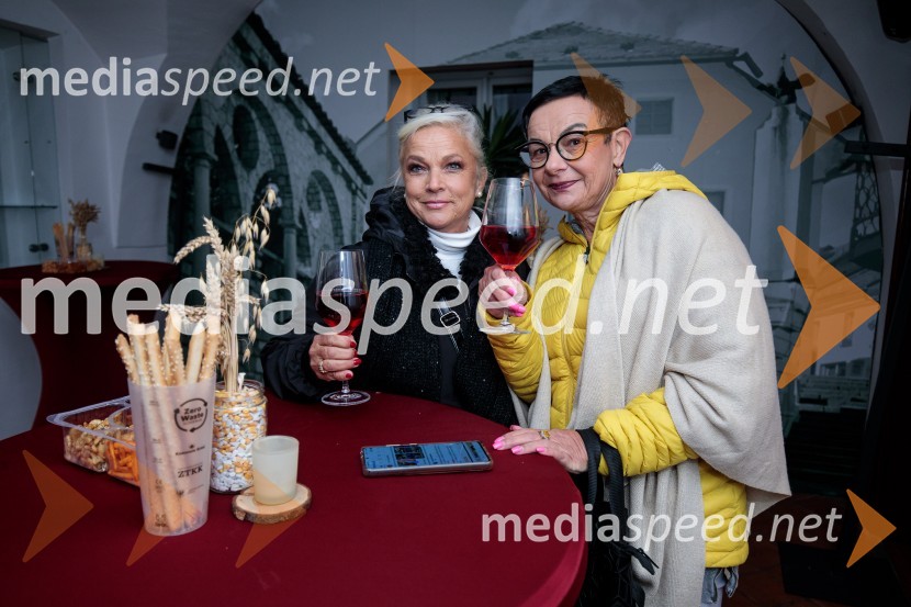 70 let - NIČ proti VEČnosti, koncert Andreja Šifrerja v Kranju