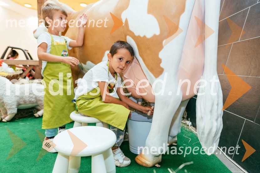 Spoznajte delo na kmetiji, Citycenter Celje